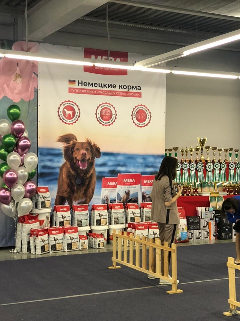 Спонсоры выставок. Спонсоры выставок собак. Выставка собак в Новосибирске. Выставка собак баннер. Выставка собак название.